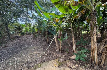 Casa para venda em Dom Viçoso MG
