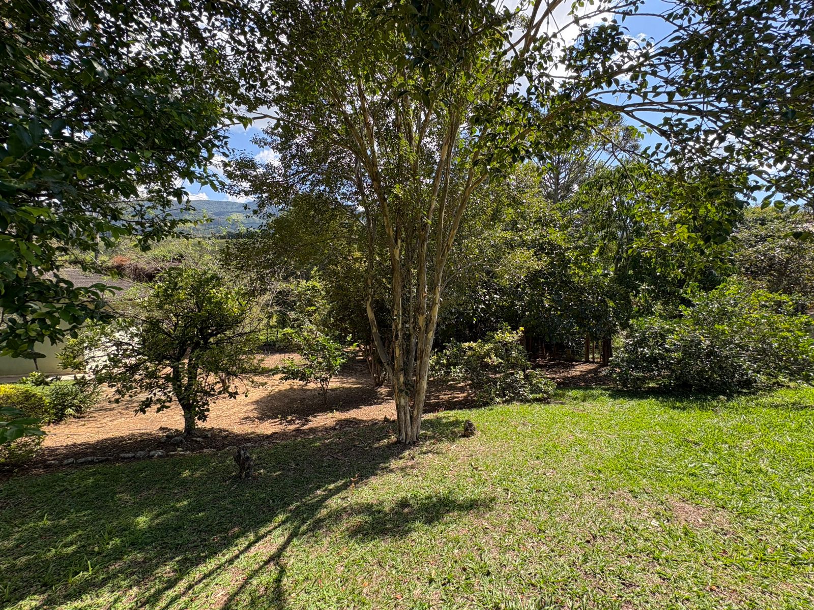 Casa para venda em Dom Viçoso MG