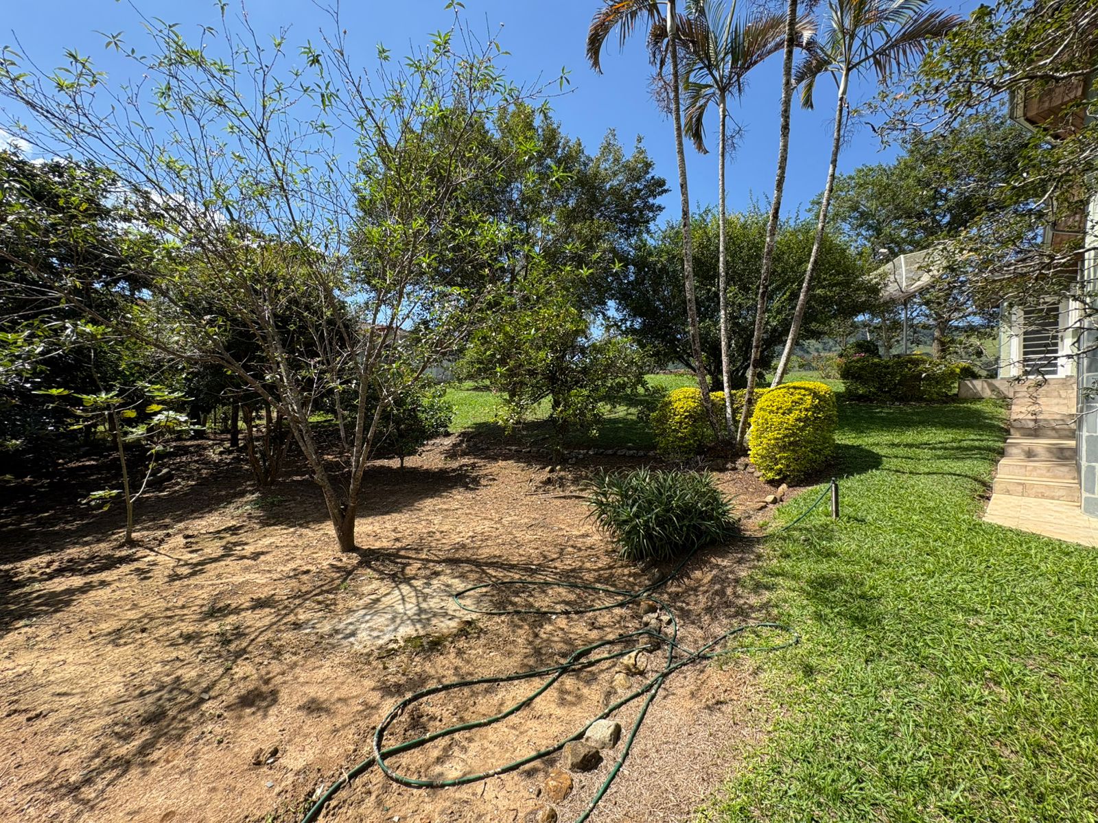 Casa para venda em Dom Viçoso MG