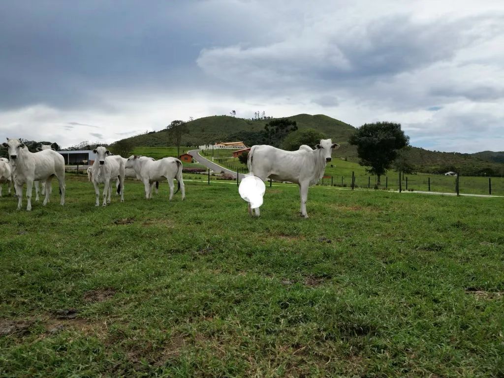Fazenda para venda em Poços de Caldas MG
