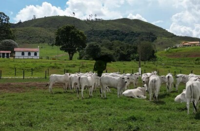 Fazenda para venda em Poços de Caldas MG