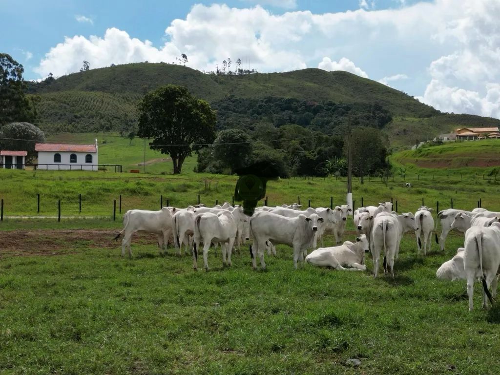 Fazenda para venda em Poços de Caldas MG