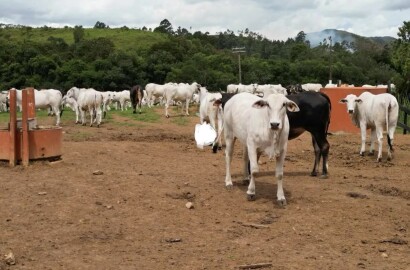 Fazenda para venda em Poços de Caldas MG