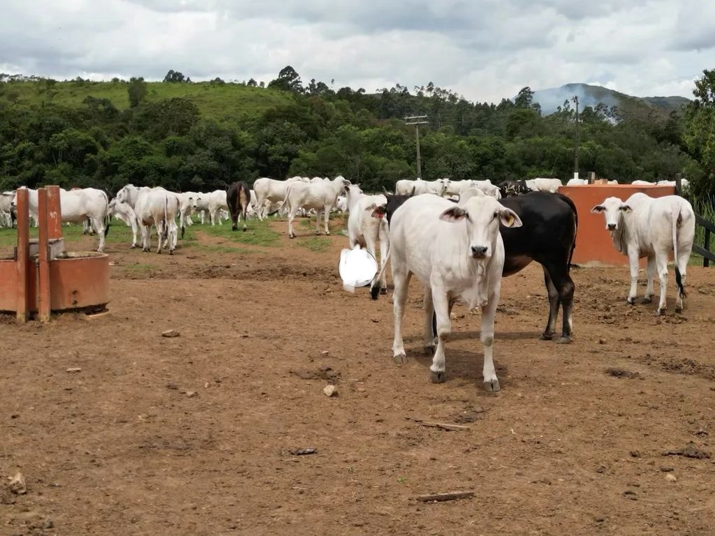 Fazenda para venda em Poços de Caldas MG