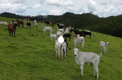 Fazenda para venda em Poços de Caldas MG