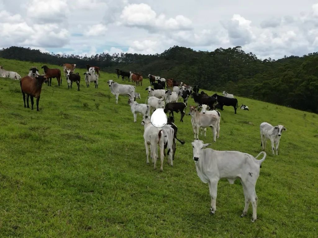 Fazenda para venda em Poços de Caldas MG