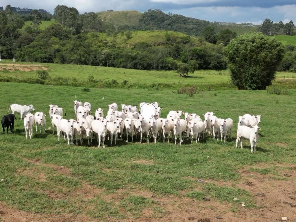 Fazenda para venda em Poços de Caldas MG