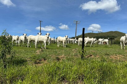 Fazenda para venda em Poços de Caldas MG