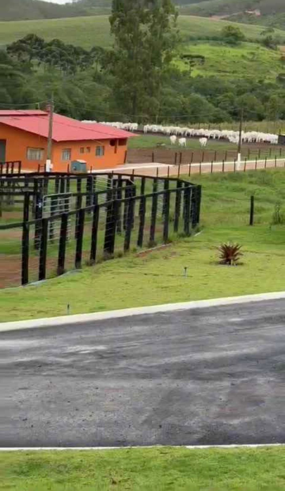 Fazenda para venda em Poços de Caldas MG