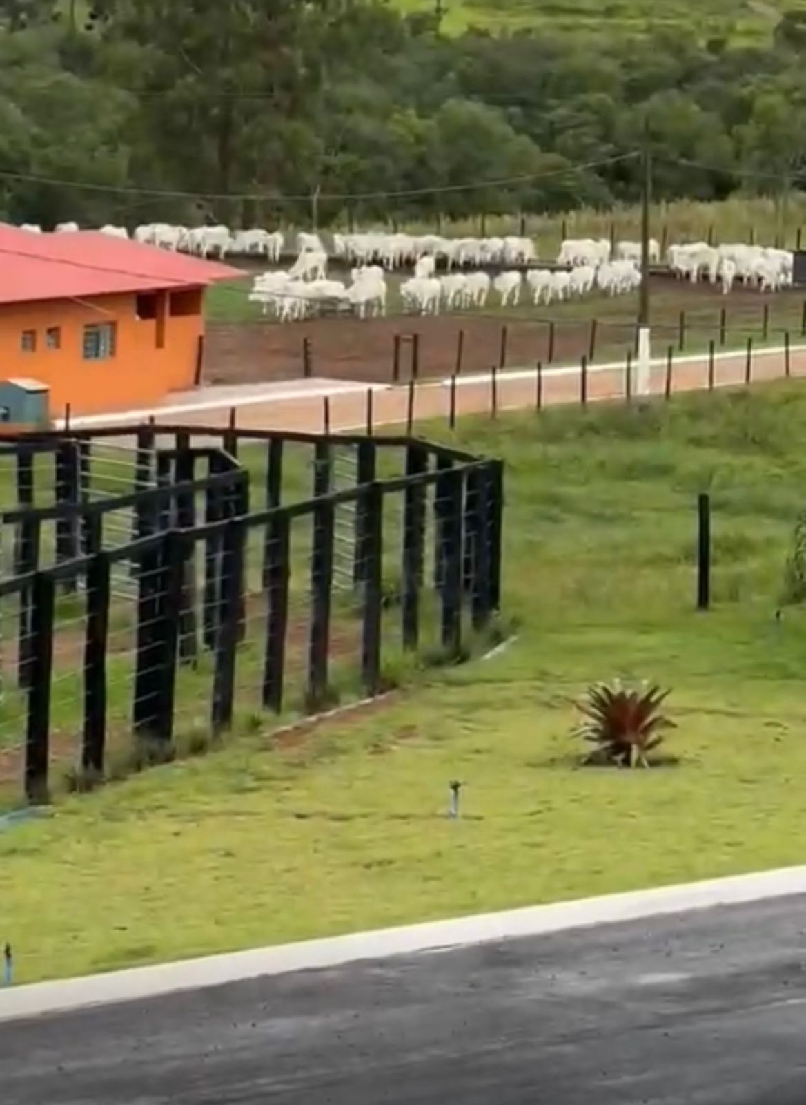 Fazenda para venda em Poços de Caldas MG