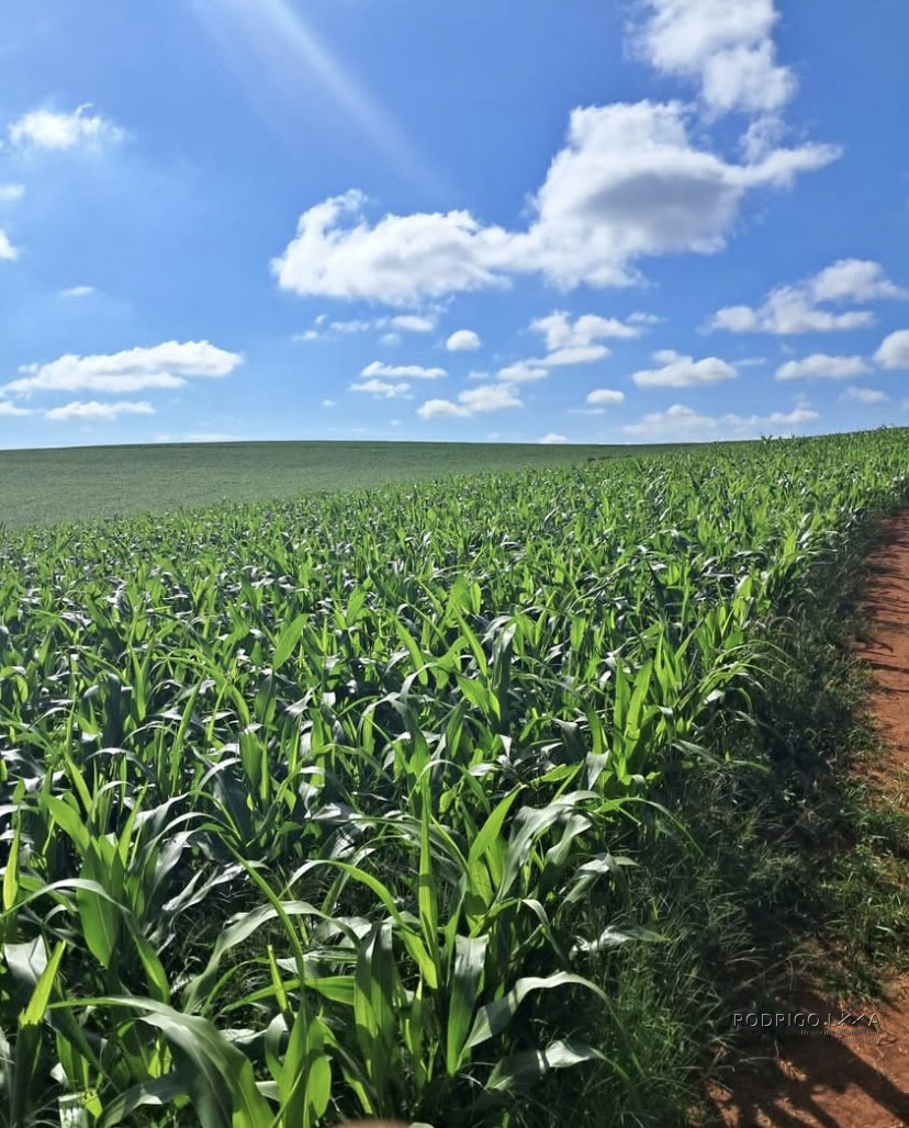 Espetacular fazenda para venda Cristais - MG.