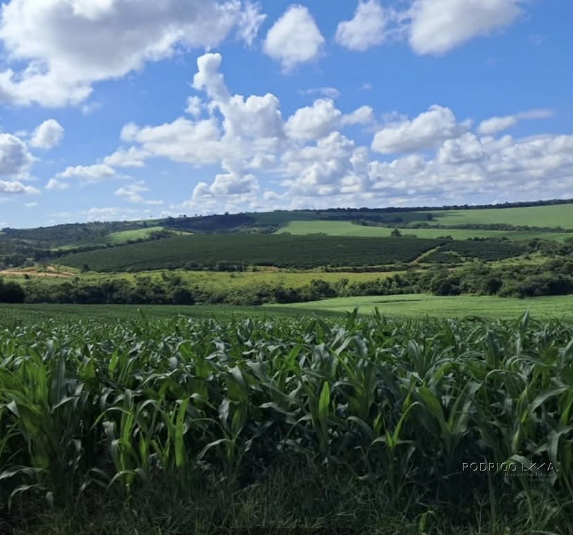 Espetacular fazenda para venda Cristais - MG.