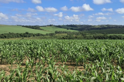 Espetacular fazenda para venda Cristais - MG.