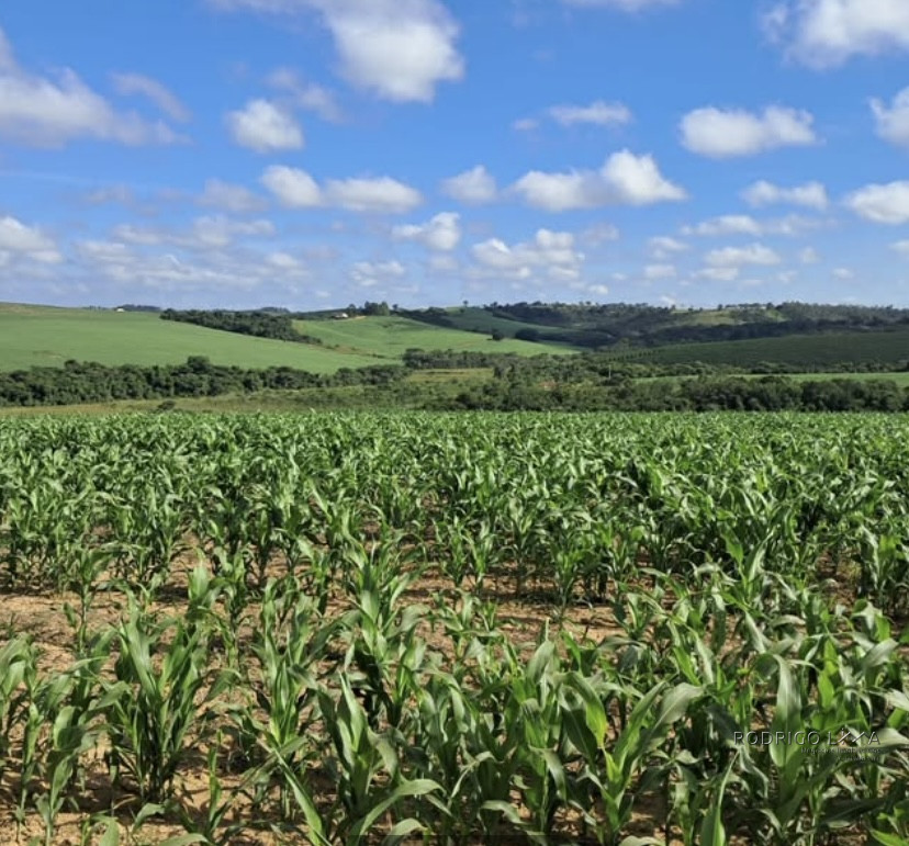 Espetacular fazenda para venda Cristais - MG.