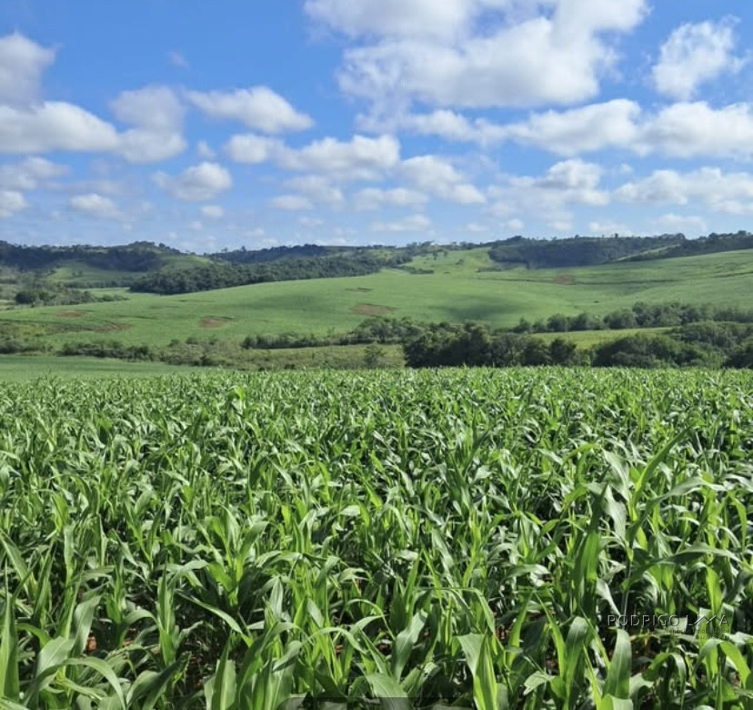 Espetacular fazenda para venda Cristais - MG.