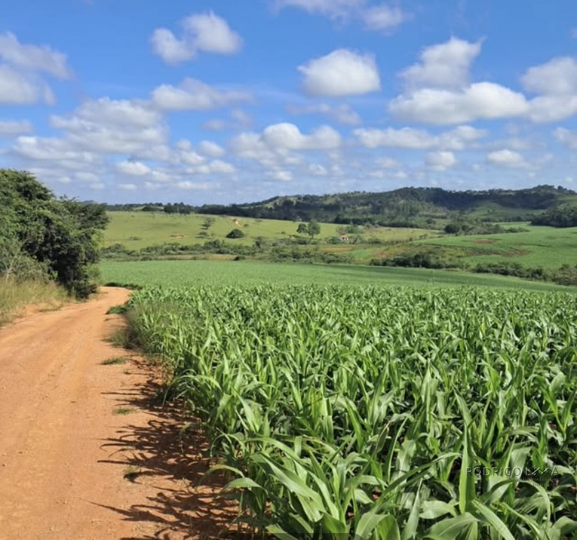 Espetacular fazenda para venda Cristais - MG.