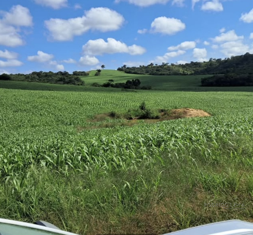 Espetacular fazenda para venda Cristais - MG.