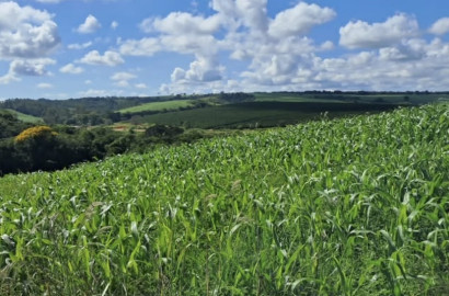 Espetacular fazenda para venda Cristais - MG.