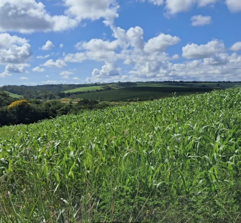 Espetacular fazenda para venda Cristais - MG.