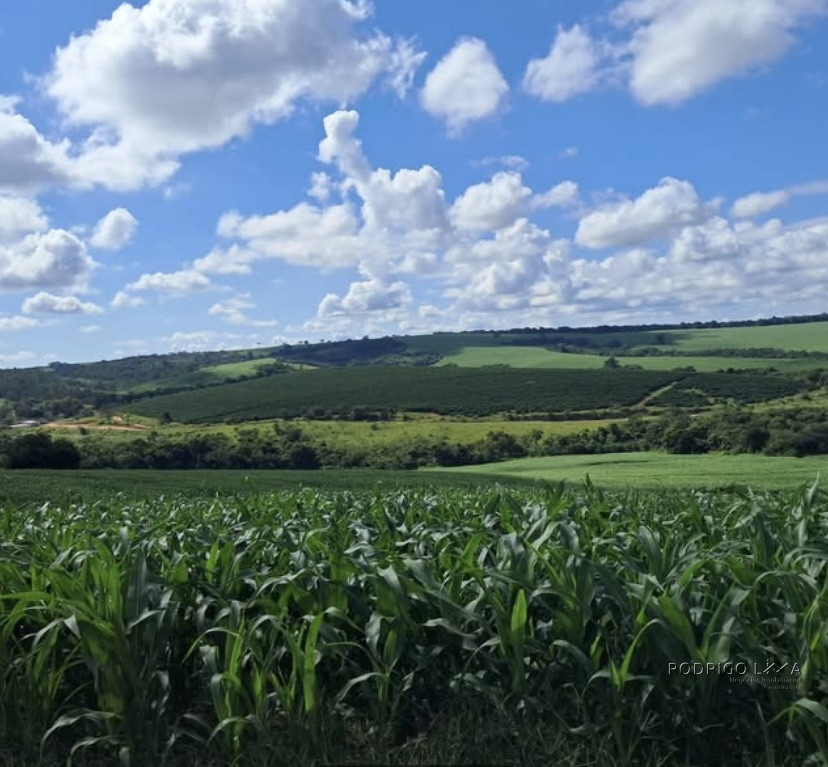 Espetacular fazenda para venda Cristais - MG.