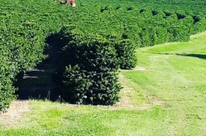 Fazenda para venda na Região de Garça SP