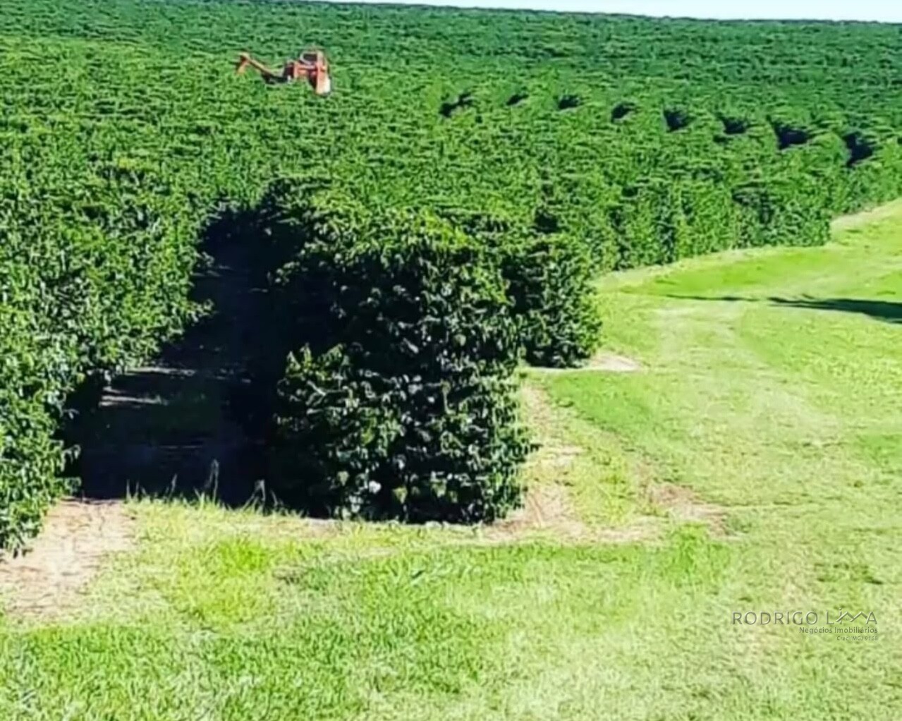 Fazenda para venda na Região de Garça SP