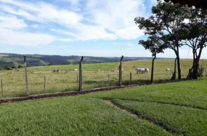 Fazenda para venda na Região de Garça SP