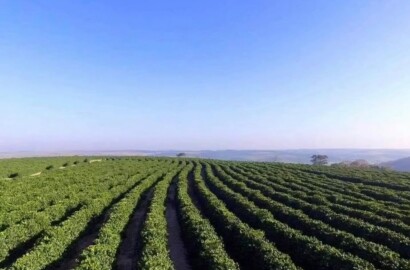 Fazenda para venda na Região de Garça SP