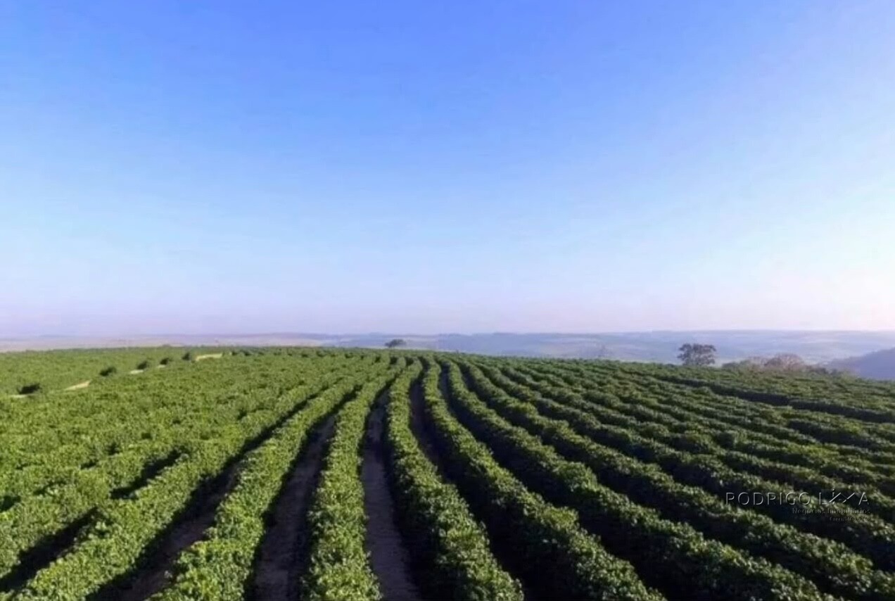 Fazenda para venda na Região de Garça SP
