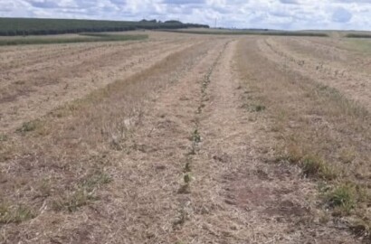 Fazenda para venda na Região de Garça SP