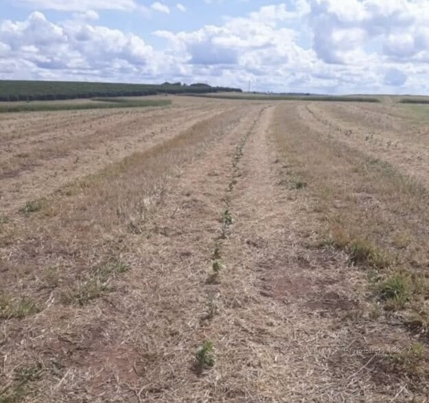 Fazenda para venda na Região de Garça SP