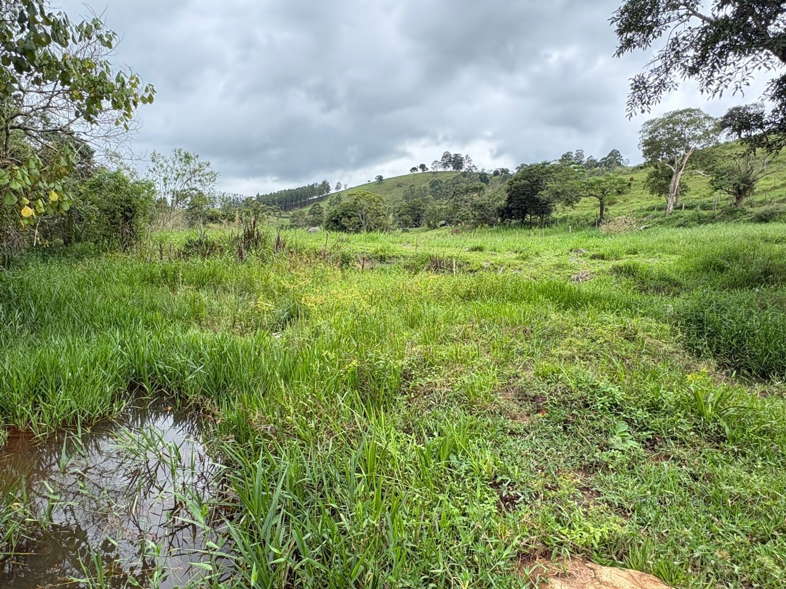 Área rural para venda em Dom Viçoso MG