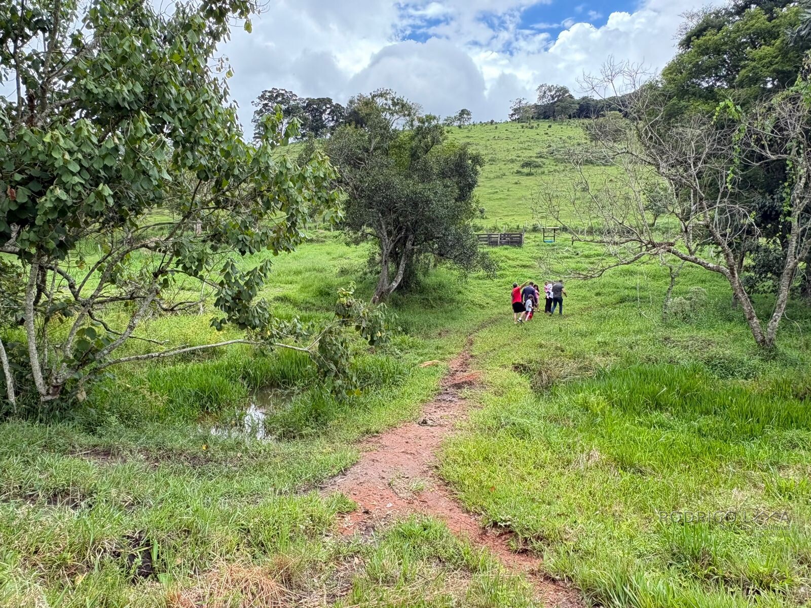 Área rural para venda em Dom Viçoso MG
