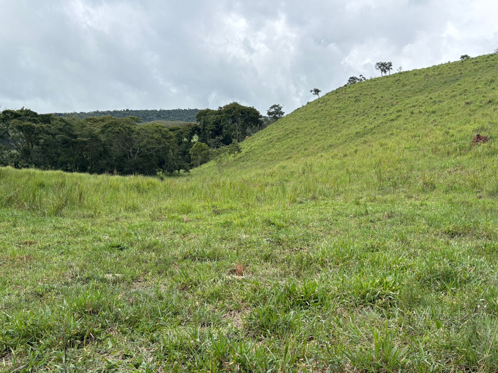 Área rural para venda em Dom Viçoso MG
