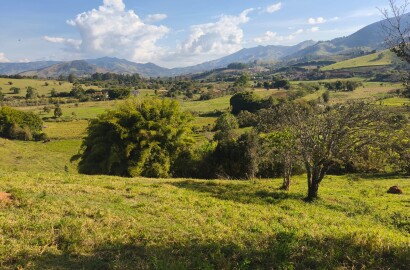 Área rural para venda em Dom Viçoso MG
