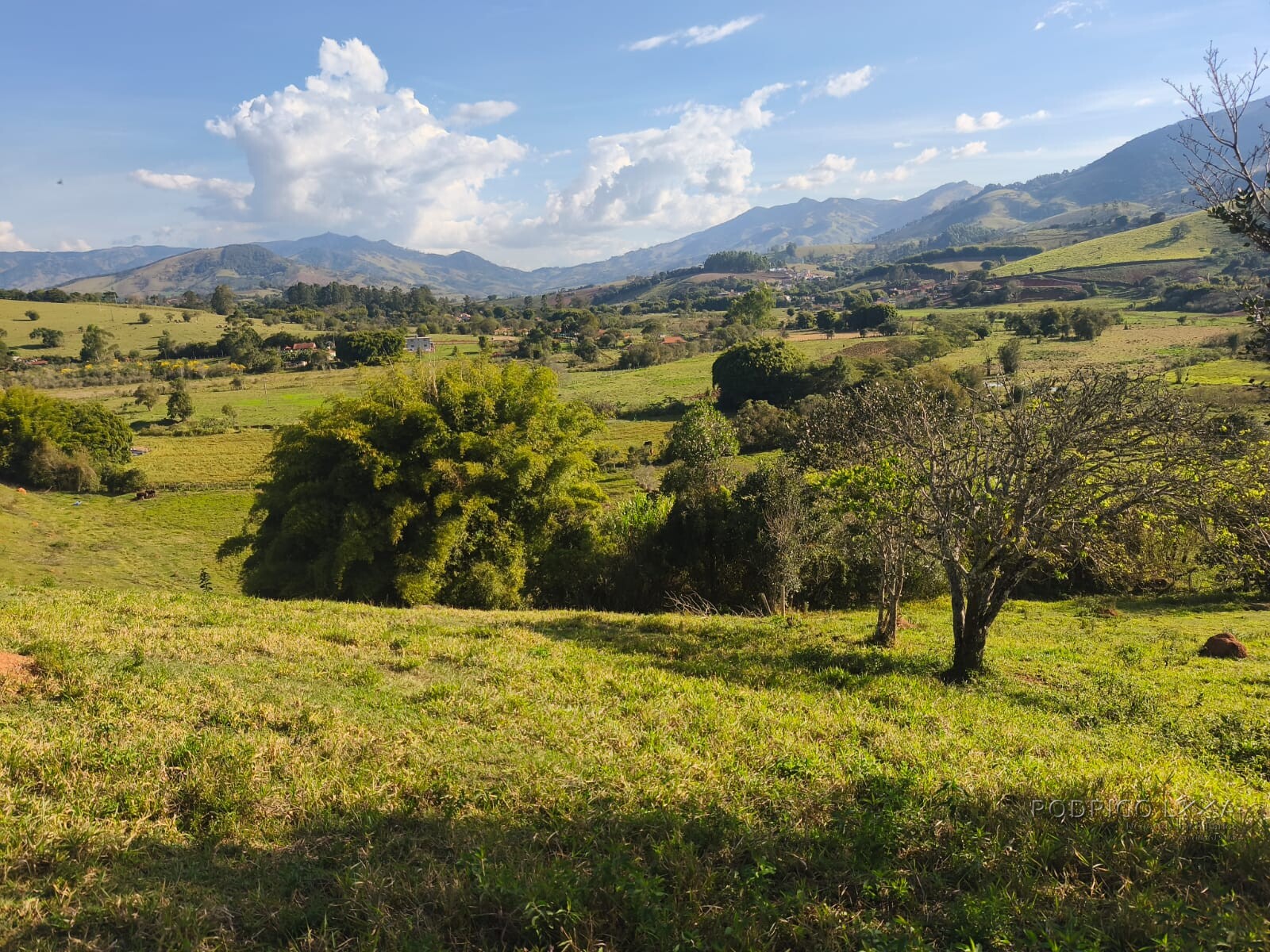 Área rural para venda em Dom Viçoso MG