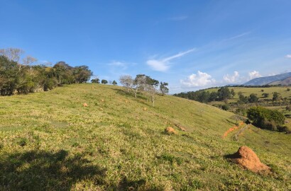 Área rural para venda em Dom Viçoso MG