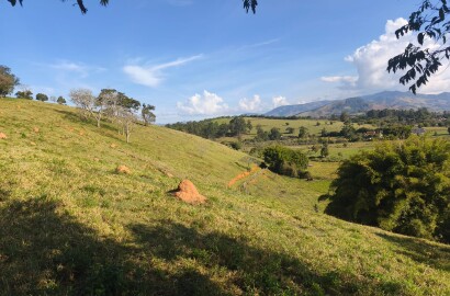 Área rural para venda em Dom Viçoso MG