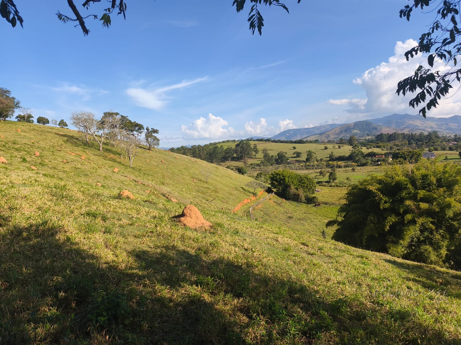 Área rural para venda em Dom Viçoso MG
