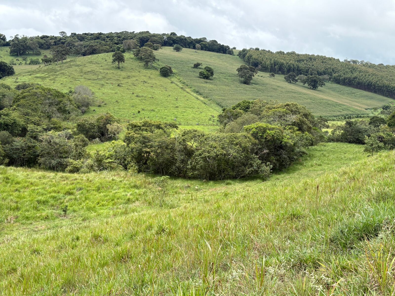 Área rural para venda em Dom Viçoso MG