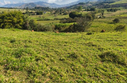Área rural para venda em Dom Viçoso MG