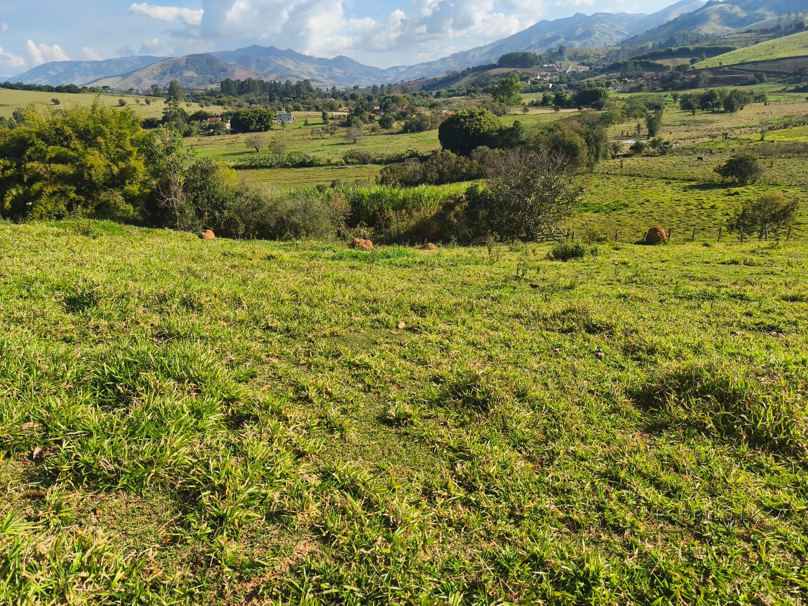 Área rural para venda em Dom Viçoso MG