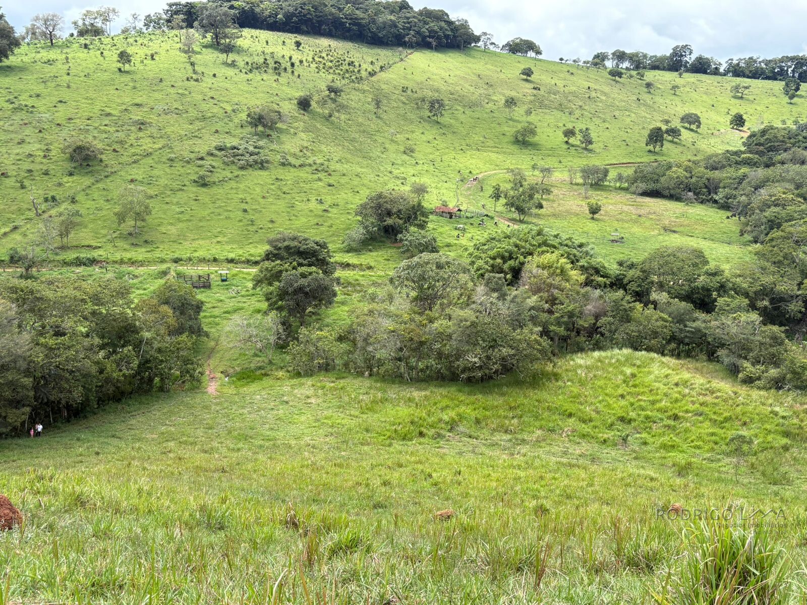Área rural para venda em Dom Viçoso MG