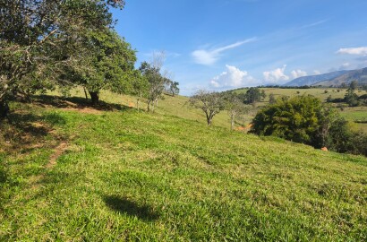 Área rural para venda em Dom Viçoso MG