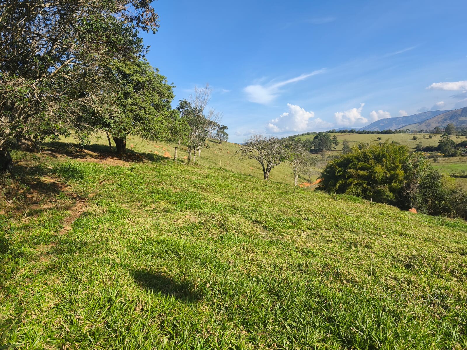 Área rural para venda em Dom Viçoso MG