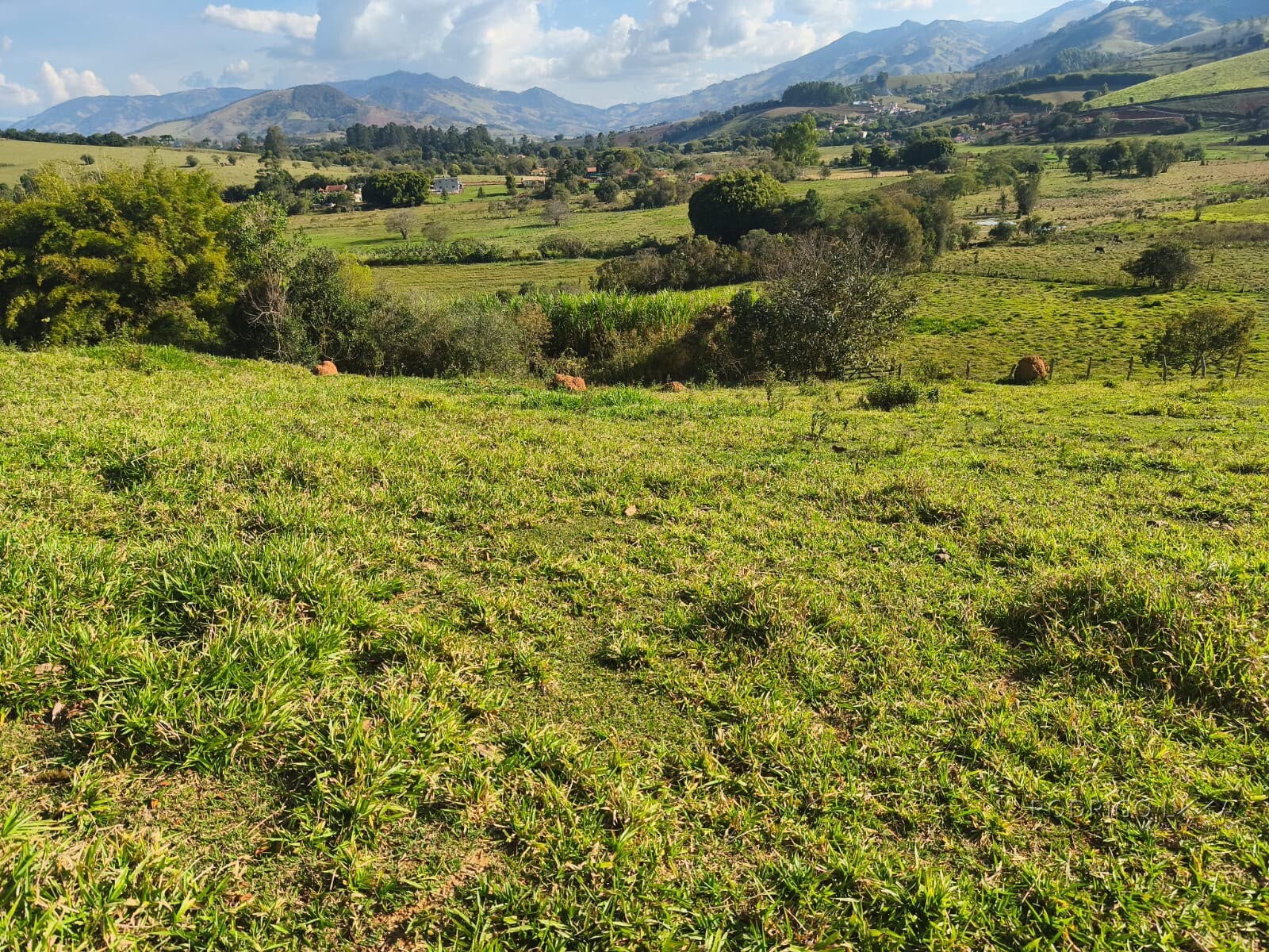 Área rural para venda em Dom Viçoso MG