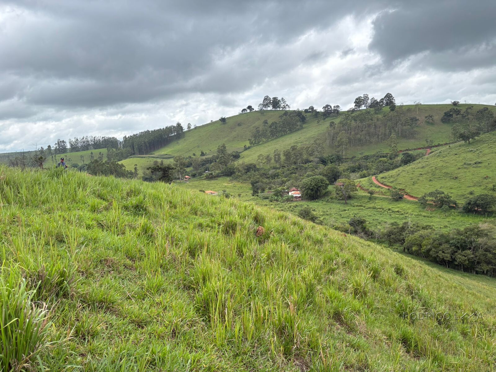 Área rural para venda em Dom Viçoso MG