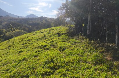 Área rural para venda em Dom Viçoso MG