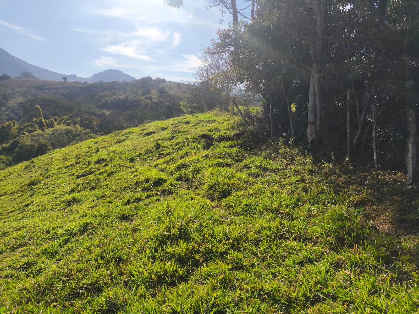 Área rural para venda em Dom Viçoso MG