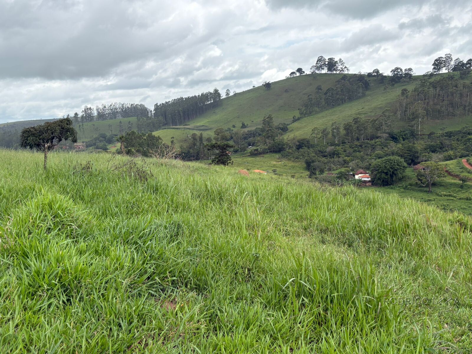Área rural para venda em Dom Viçoso MG